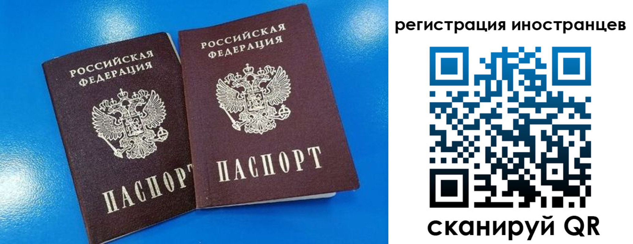 временная регистрация поиск в Стародубе