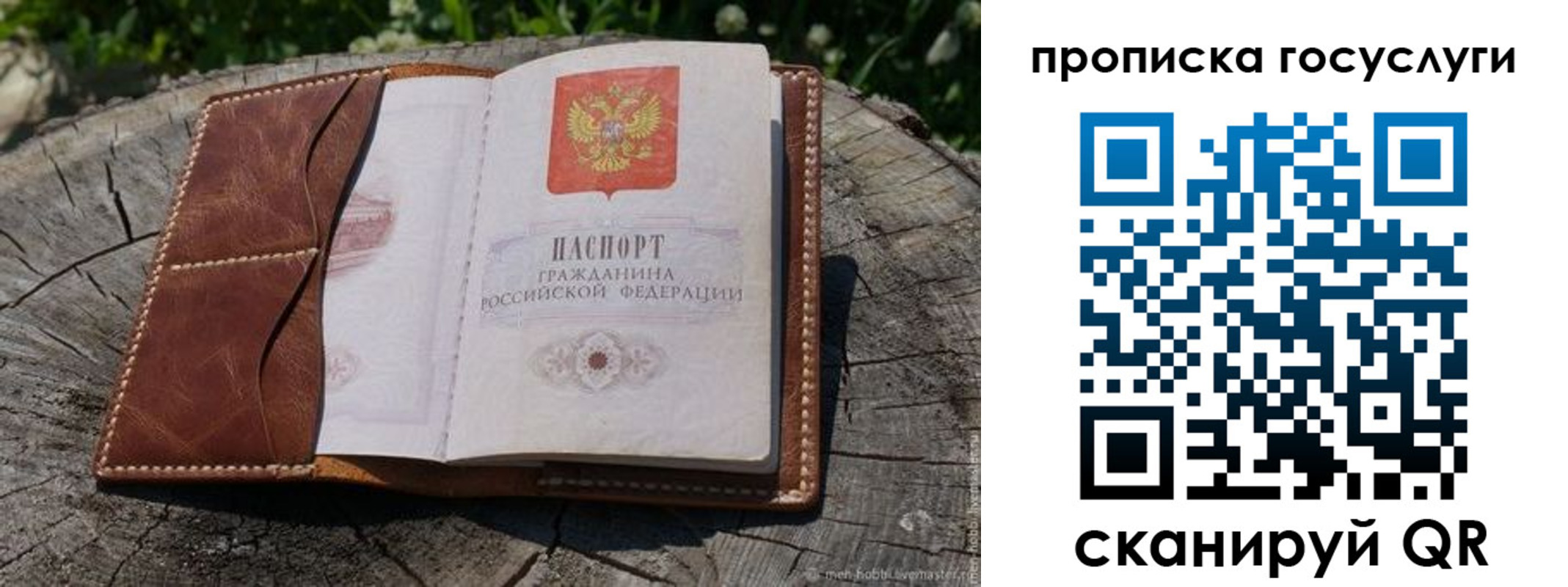 прописка для школы в Стародубе
